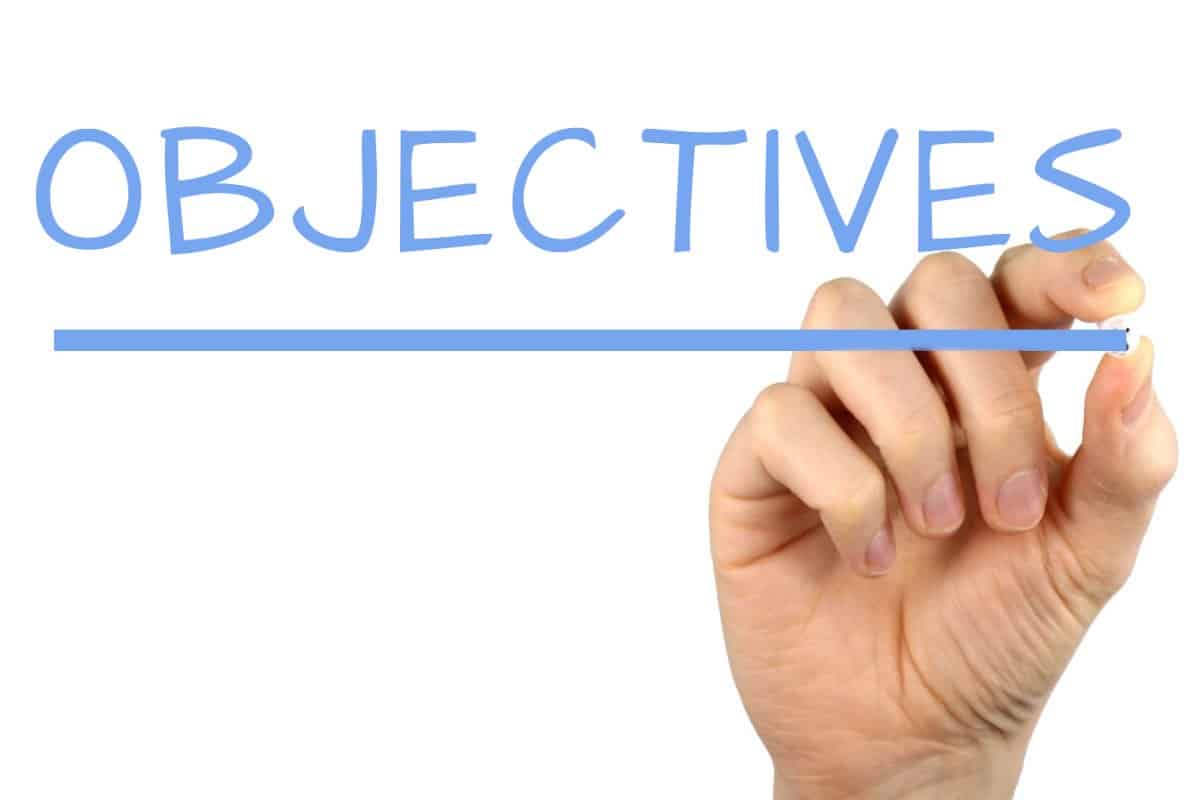 adult social media strategy