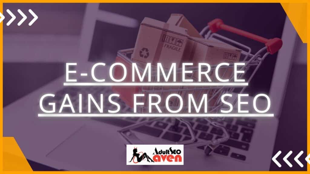 E-commerce Gains from SEO