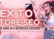 Sex Toy Store SEO How to Rank in a Restricted Search Category